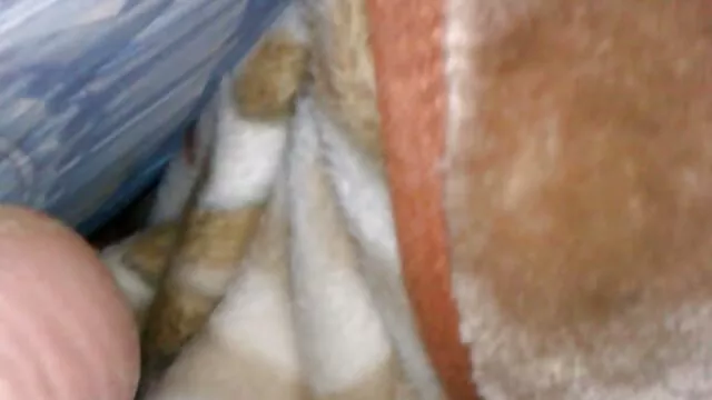 Nudité publique video gratuite femme nue d'une jeune fille