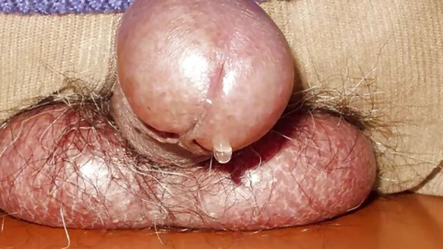La brune présente du sexe violent et se masturbe film porno xxl video