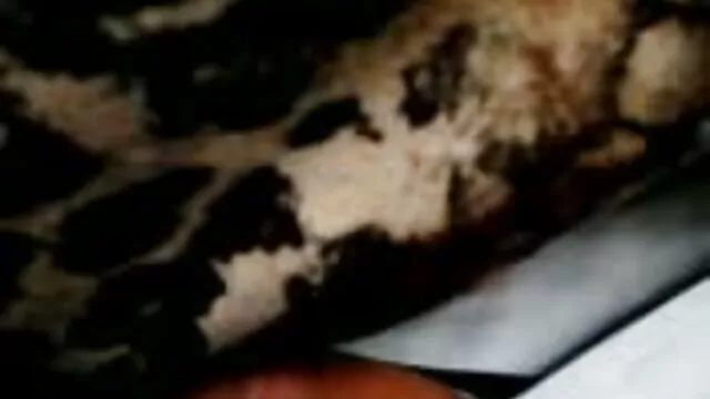 Fille aux cheveux roses voir vidéos porno suce des godes