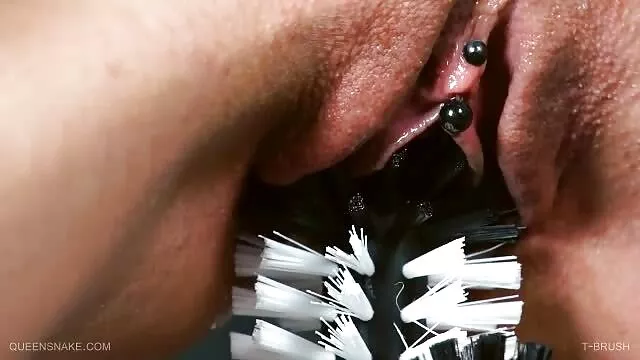 Un putain de mulâtre et son petit ami ont montré video porno femme et chien une classe de maître